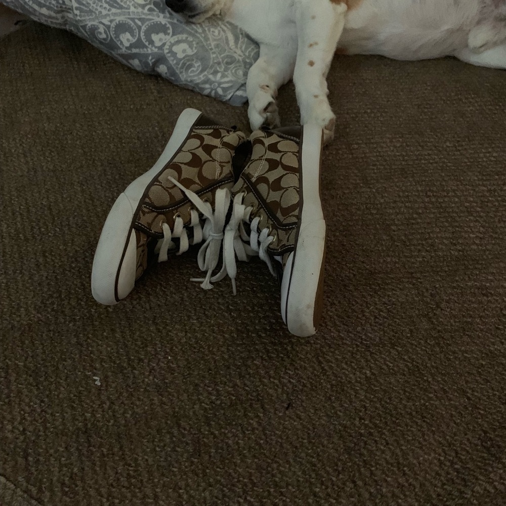 COACH sneakers - Picture 3 of 6